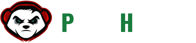 YANSIR线下课